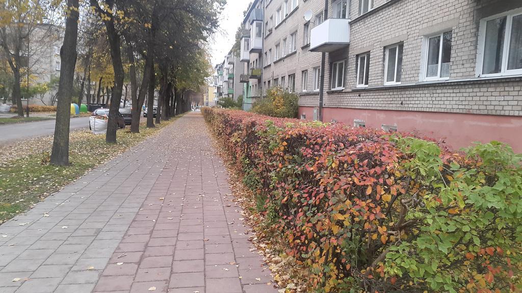 Apartment Dalyce Шяуляй Экстерьер фото